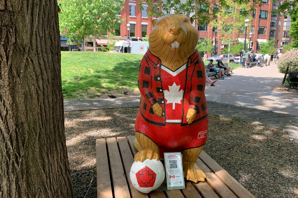 A beaver sculpture representing Canada that is part of The Great Beaver Quest, a World Cup-themed contest, stands in a park Thursday, June 4, 2026, in Toronto. (AP Photo/Mike Householder)