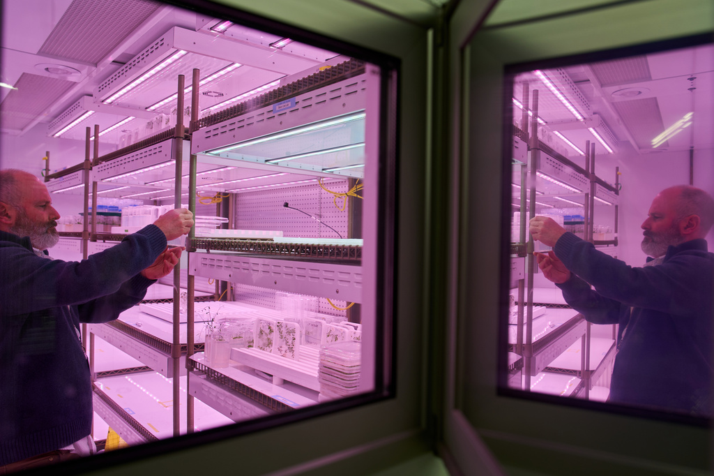Todd Michael, a research professor at the Salk Institute for Biological Studies, works at his lab in La Jolla, Calif., Wednesday, Dec. 3, 2025. (AP Photo/Annika Hammerschlag)