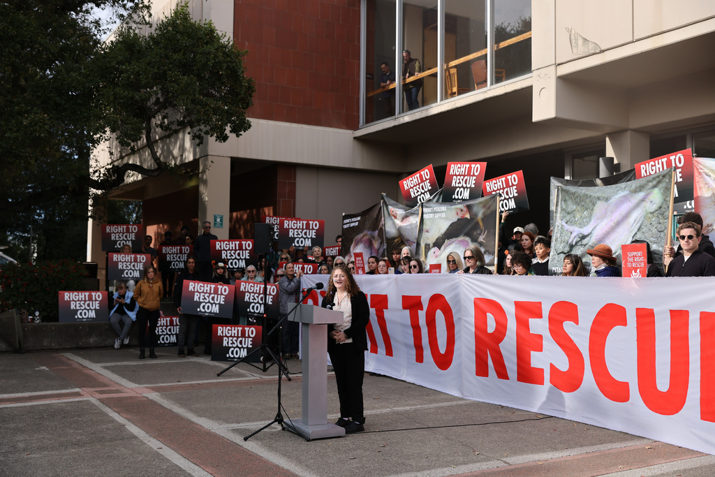 Zoe Rosenberg speaks at her sentencing hearing at the Sonoma County Superior Court in Santa Rosa, Calif., on Wednesday, Dec. 3, 2025. (Gabrielle Lurie/San Francisco Chronicle via AP)