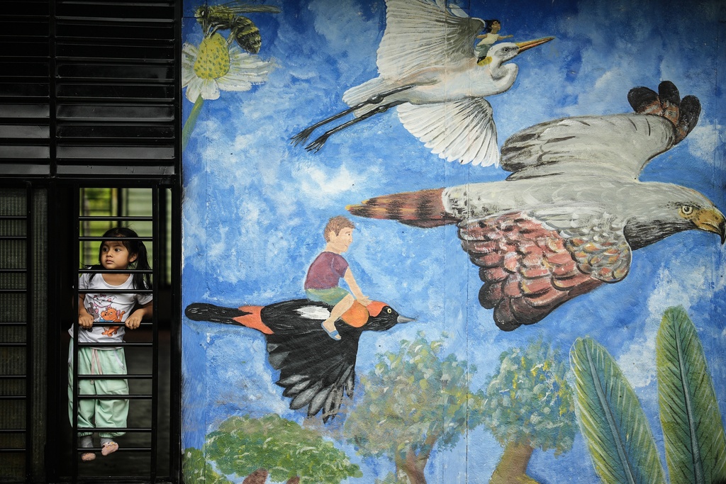 A girl looks out the window at the Amazon Pearl community farming project on the outskirts of Puerto Asis, Colombia, Wednesday, Nov. 26, 2025. (AP Photo/Ivan Valencia)