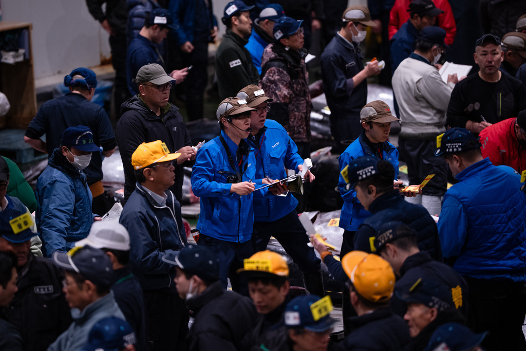 Wholesalers and buyers take part in the New Year's tuna auction at Toyosu fish market in Tokyo, Monday, Jan. 5, 2026. (AP Photo/Louise Delmotte)