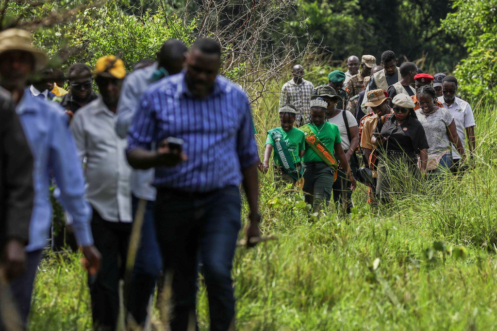 Members of the public and volunteers participate in rhino tracking at the Ziwa Rhino Sanctuary, northwest of Nakasongola, Uganda, Monday, Sept. 22, 2025. (AP Photo/Hajarah Nalwadda)