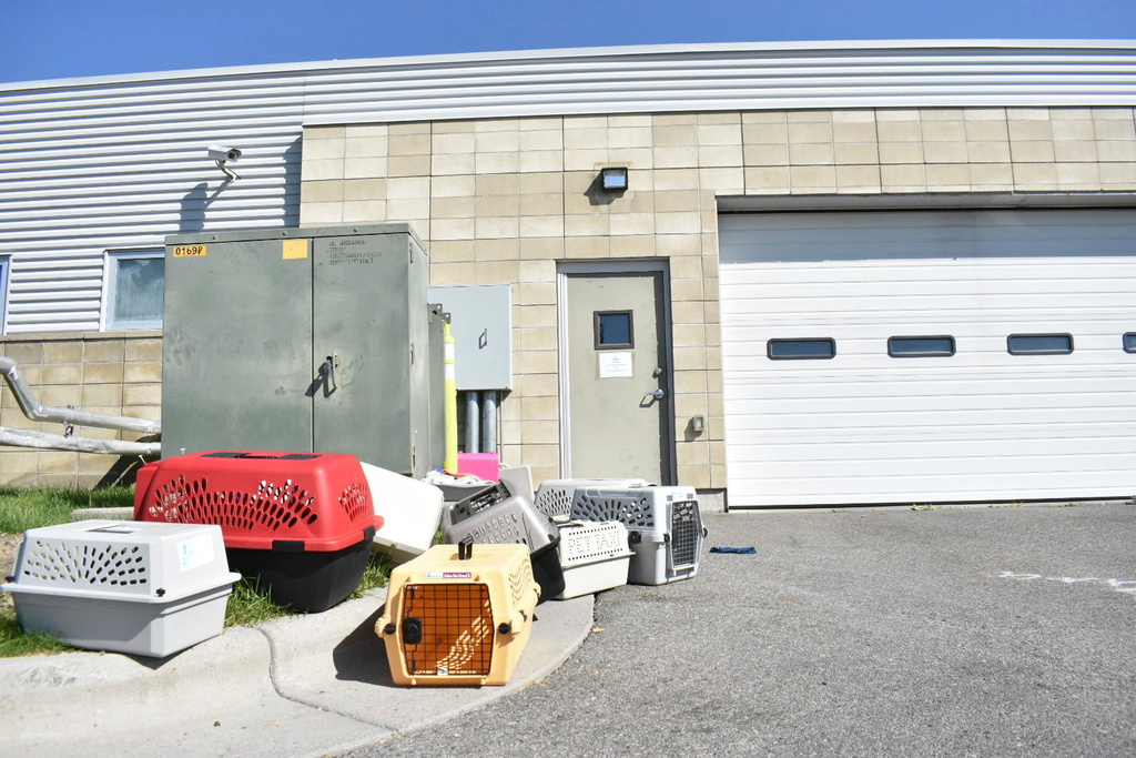 Animal crates sit outside the Yellowstone Valley Animal Shelter on Friday, Sept. 12, 2025, in Billings, Mont. (AP Photo/Matthew Brown)