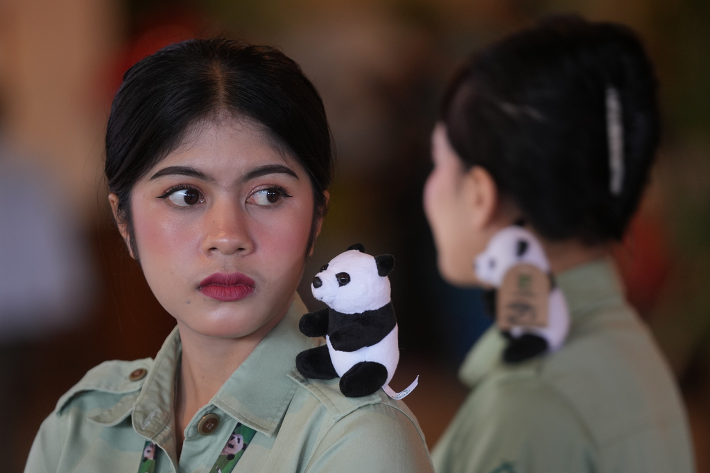 Staff wear panda plush toys on their shoulder during a press conference announcing the first giant panda cub born in Indonesia, at Indonesia Safari Park, in Bogor, West Java, Indonesia, Tuesday, Jan. 6, 2026. (AP Photo/Dita Alangkara)