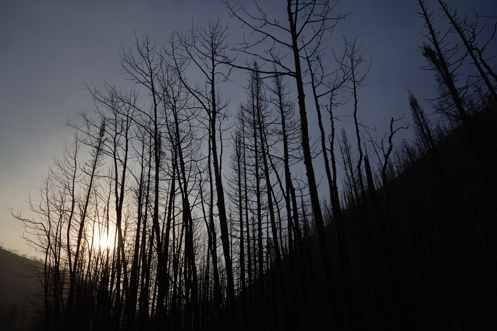Sunrise on the Cottonwood Fire in Kingston, Utah, on Saturday , June 27, 2026. (AP Photo/Ty ONeil)