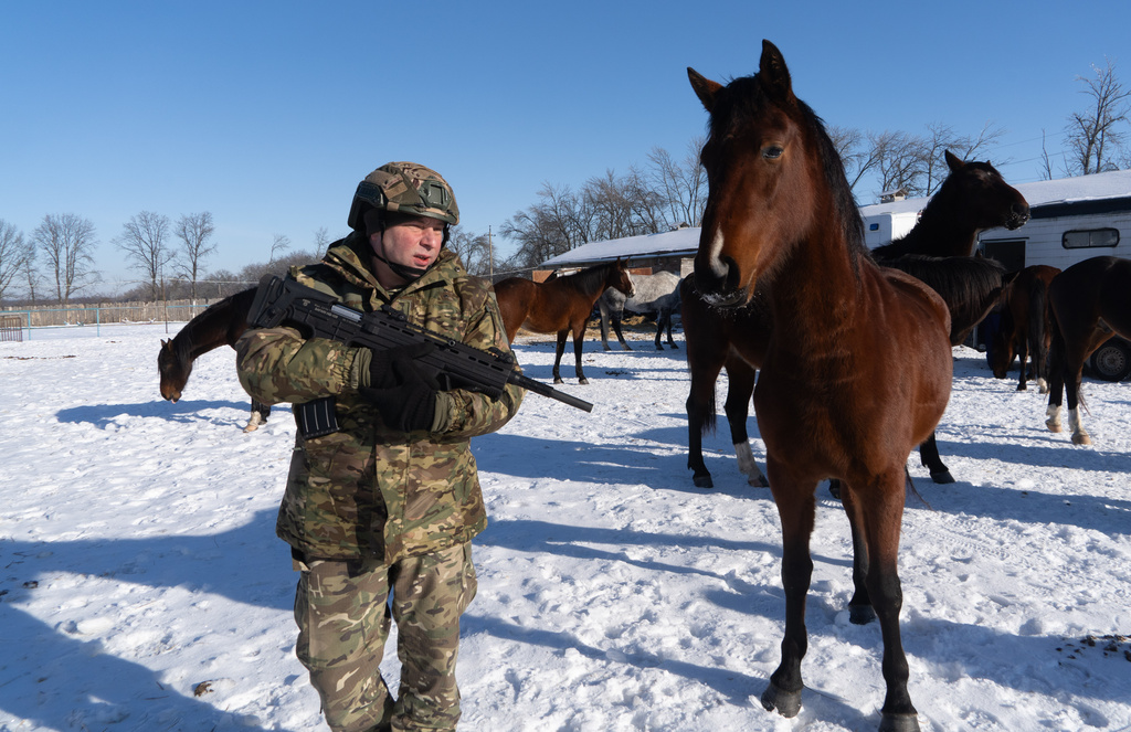 Servicemen and volunteers evacuate abandoned racehorses from the frontline zone in the Kharkiv region, Ukraine, Tuesday, Feb. 10, 2026. (AP Photo/Andrii Marienko)