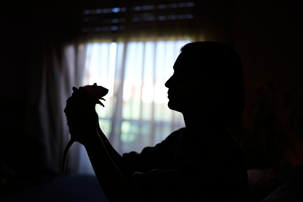 Dominique Verdier holds Carlota, a former laboratory rat she adopted, in Buenos Aires, Argentina, Friday, May 15, 2026. (AP Photo/Natacha Pisarenko)