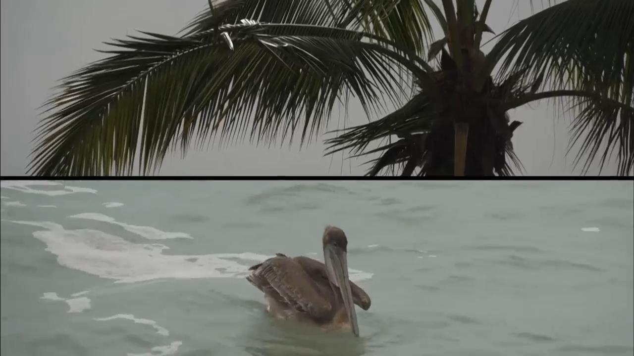 Residents and tourists in Mexico's Puerto Vallarta prepared Saturday for the arrival of Hurricane Simon, a powerful Category 4 storm expected to make landfall early Sunday. Businesses in the popular Pacific coast resort city boarded up windows and entrances as the hurricane approached, while residents and tourists continued going about their day under overcast skies. (AP Video by Mart&iacute;n Silva Rey)