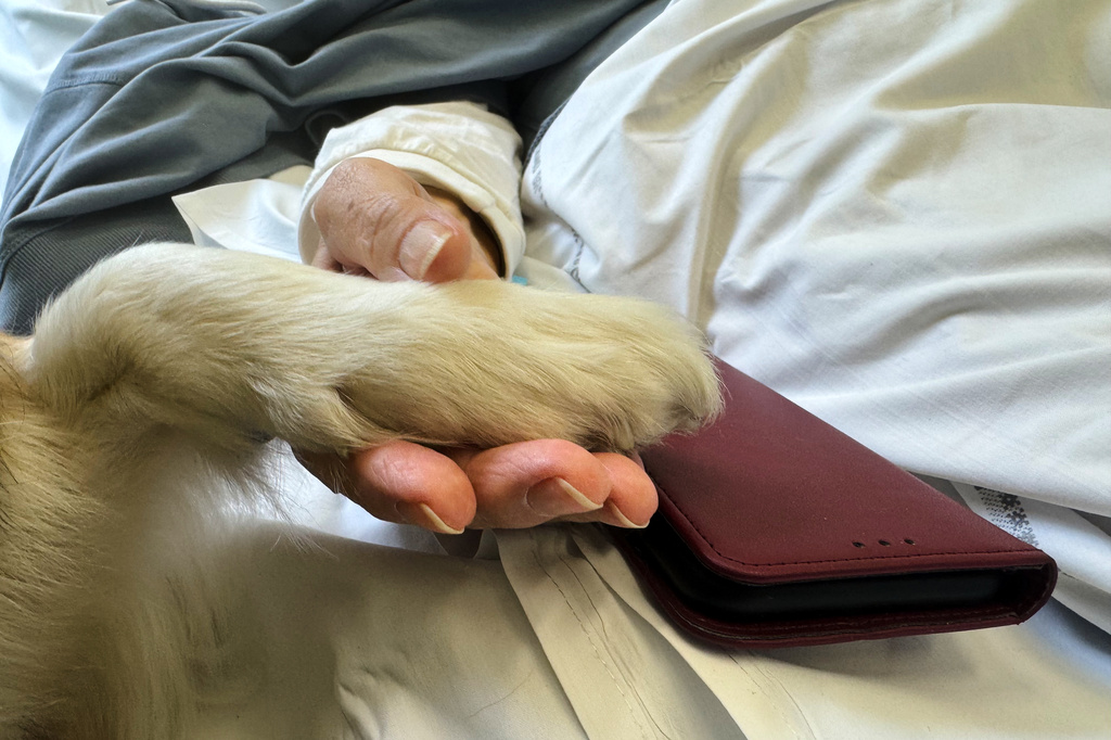 Patient Ewa Lutka-Krawczyk holds the paw of Australian shepherd therapy dog Kluska at the Palliative Medicine Clinic at the Medical University of Warsaw, Poland, Monday, June 15, 2026. (AP Photo/Rafal Niedzielski)