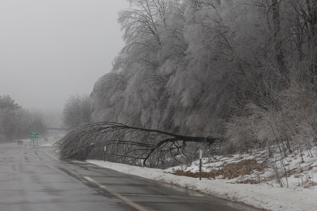 A downed tree sits along U.S. 131 in Mecosta County, Mich. on Sunday, Dec. 28, 2025. (Joel Bissell/Kalamazoo Gazette via AP)