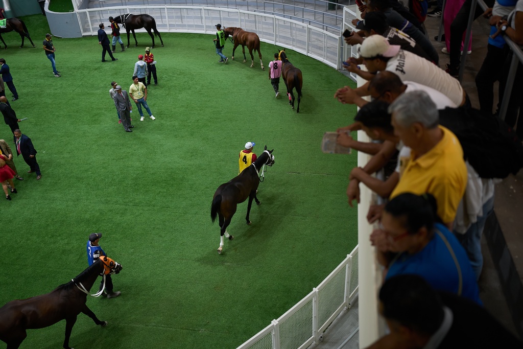 Grooms parade horses prior to a race during the 56th Jockey Challenge at the Rinconada racetrack in Caracas, Venezuela, Sunday, Dec. 14, 2025. (AP Photo/Ariana Cubillos)
