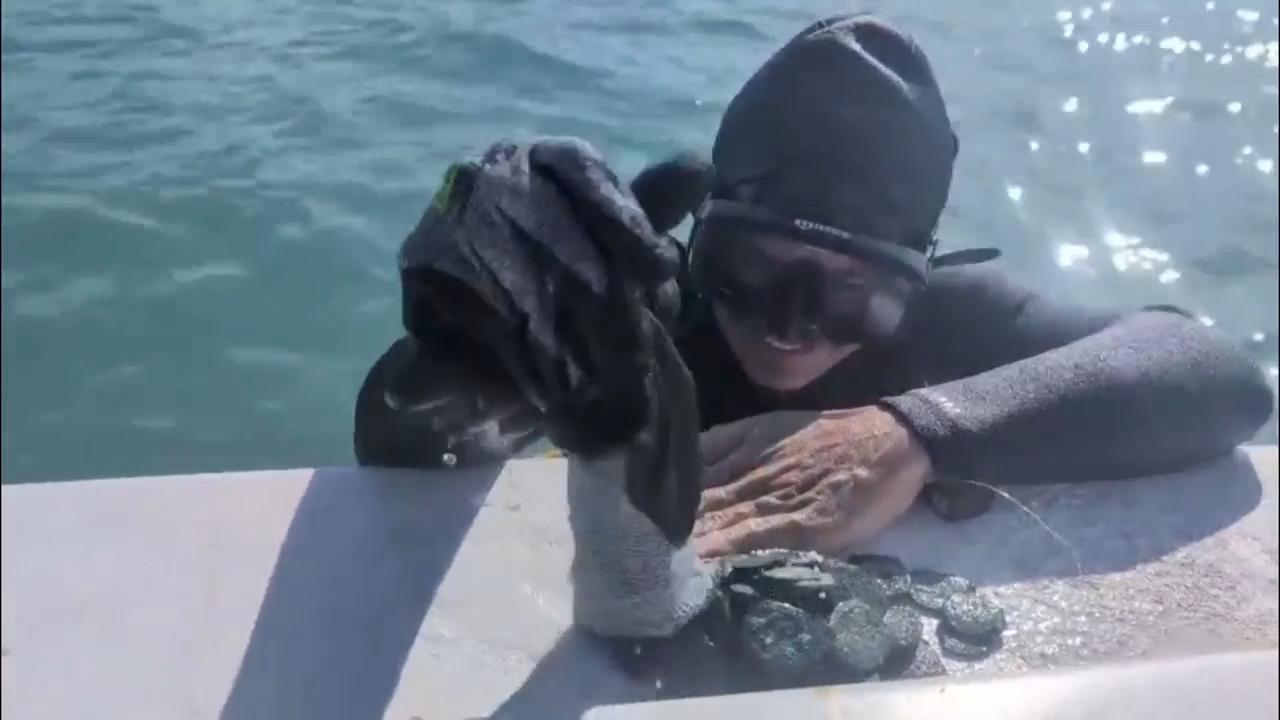 Excavators find 1 million in gold coins from Spanish shipwreck along