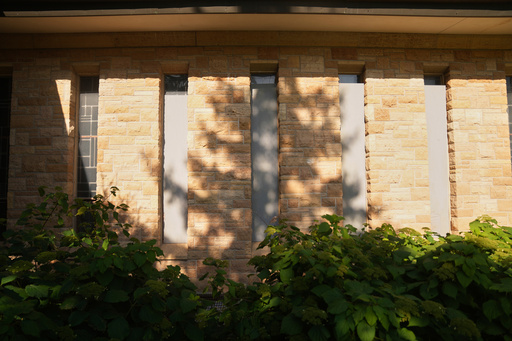 The damaged windows are boarded up at Annunciation Catholic Church after Wednesday's school shooting, Thursday, Aug. 28, 2025, in Minneapolis. (AP Photo/Abbie Parr) The damaged windows are boarded up at Annunciation Catholic Church after Wednesday's school shooting, Thursday, Aug. 28, 2025, in Minneapolis. (AP Photo/Abbie Parr)