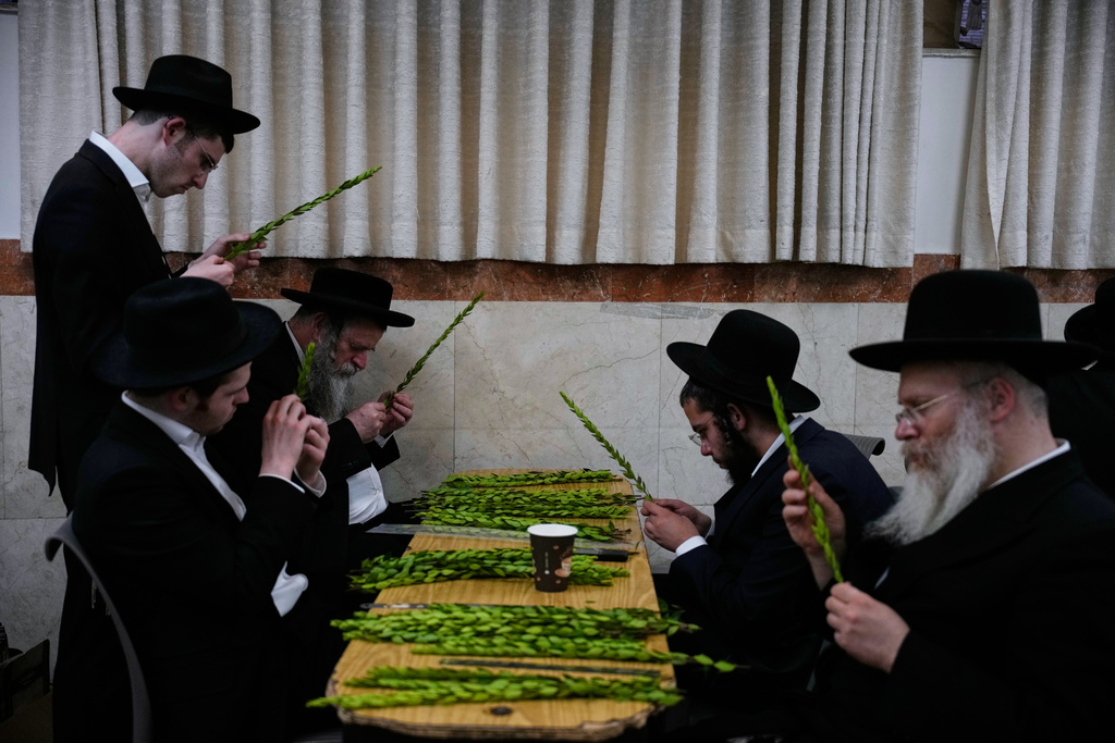 Ultra-Orthodox Jewish men inspect myrtle branches to determine if it is ritually acceptable as one of the four items used as a symbol on the upcoming Jewish holiday of Sukkot, in Jerusalem's Mea Shearim neighborhood, Sunday, Oct. 5, 2025. (AP Photo/Ohad Zwigenberg)