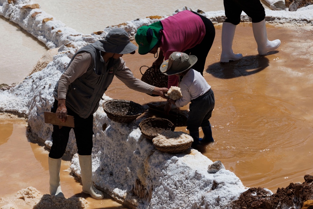 A family mines the salt by scooping it into a pan to put in a pile to dry on the sides of the ponds at Salineras de Maras, Maras salt mines, in the Sacred Valley, near Cusco, Peru on Saturday, Aug. 30, 2025. (AP Photo/Alie Skowronski)