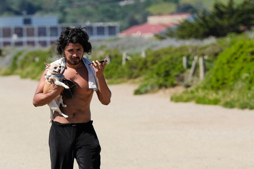 Enrique Martinez carries his 11-year-old dog Pepe so it doesn't have to walk on the hot sand at Crissy Field in San Francisco, Tuesday, March 17, 2026. (AP Photo/Godofredo A. Vásquez)