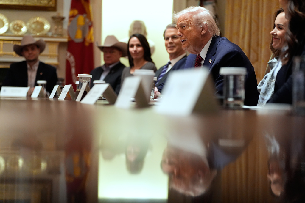 President Donald Trump speaks during a roundtable on farm subsidies in the Cabinet Room of the White House, Monday, Dec. 8, 2025, in Washington. (AP Photo/Alex Brandon)