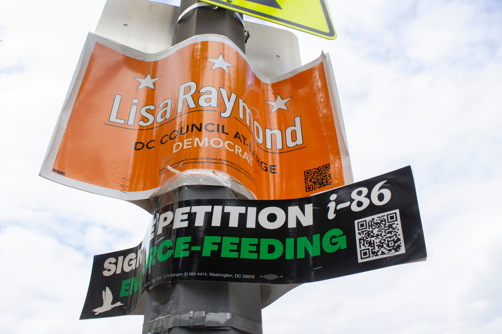 Campaign signs are posted on lamp post, Sunday, June 7, 2026, in Washington, ahead of the city’s primary election. (AP Photo/Tallulah Brown Van Zee)