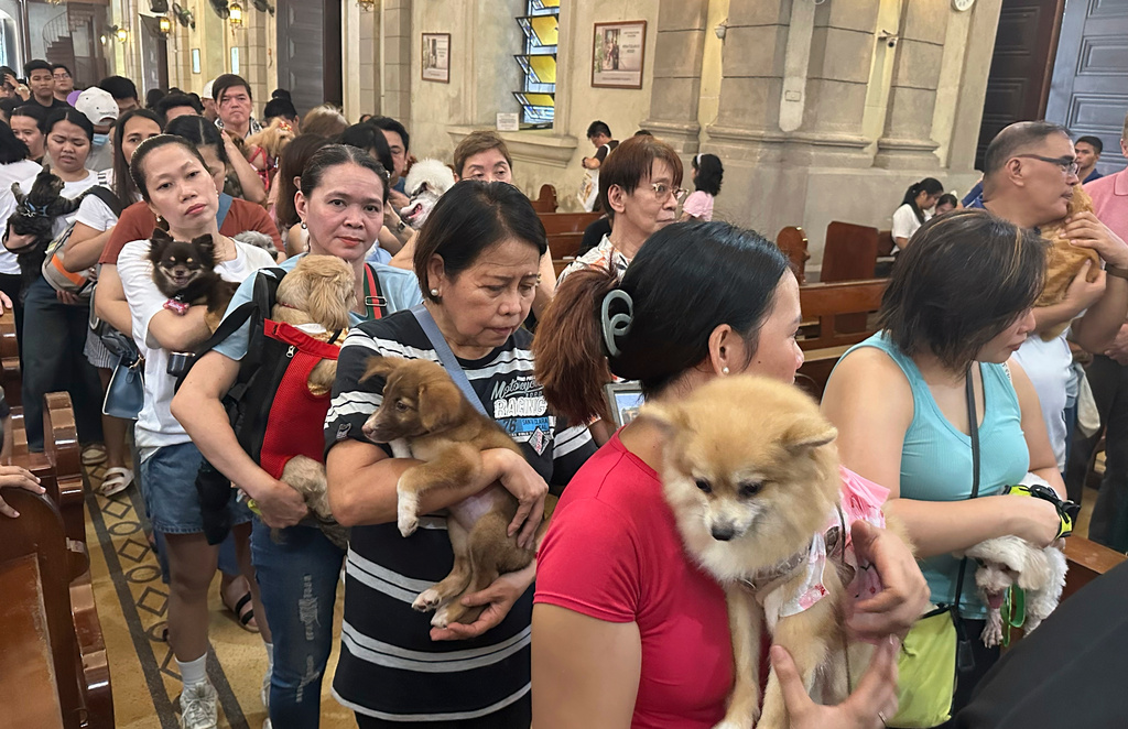 In this photo taken with a smartphone, pet owners stand in a queue to receive holy water sprinkled by a priest on pet dogs and cats during an animal blessing rites at the Malate Church in Manila, Philippines, Sunday, October. 4, 2026. (AP Photo/Joeal Calupitan)