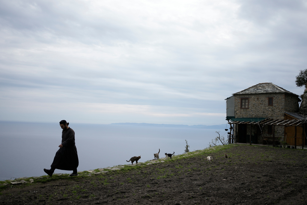 Father Paisios is followed by cats as he walks at the Simonopetra, or Simonos Petra Monastery, home of the all-male autonomous community of Agion Oros, or Holy Mountain, on the peninsula of Mount Athos, in northern Greece, April 14, 2025. (AP Photo/Thanassis Stavrakis, File)
