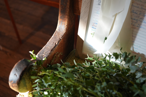 Light shines onto a 19th century wooden pew in the West Room of the Arch Street Meeting House in Philadelphia after a traditional Quaker wedding on Oct. 3, 2025. (AP Photo/Luis Andres Henao) Light shines onto a 19th century wooden pew in the West Room of the Arch Street Meeting House in Philadelphia after a traditional Quaker wedding on Oct. 3, 2025. (AP Photo/Luis Andres Henao)