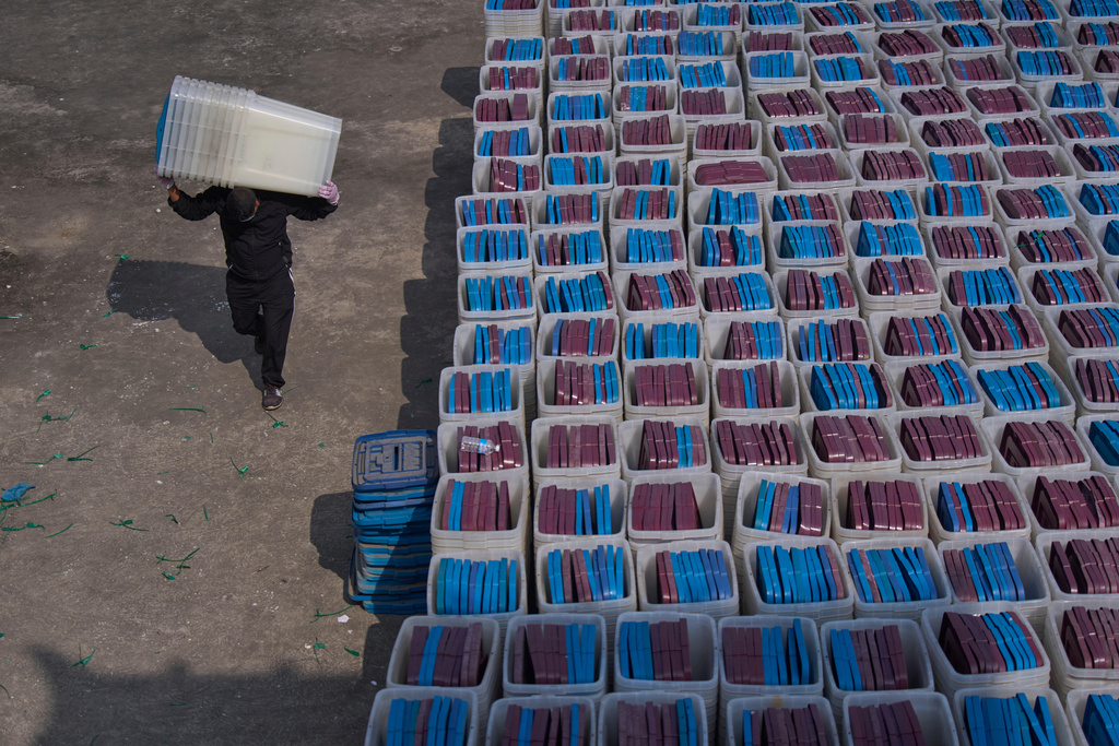 FILE - A man carries ballot boxes to load onto a vehicle for delivery to various regions across the country ahead of the March 5 general election, at election commission in Kathmandu, Nepal, on Feb. 8, 2026. (AP Photo/Niranjan Shrestha, File)