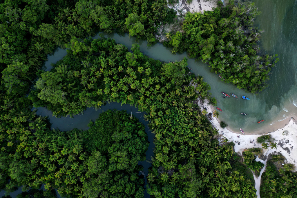 Fishing boats are visible in the port of the Caju Una community, Marajo Island, Para state, Brazil, Saturday, Nov. 1, 2025. (AP Photo/Eraldo Peres)