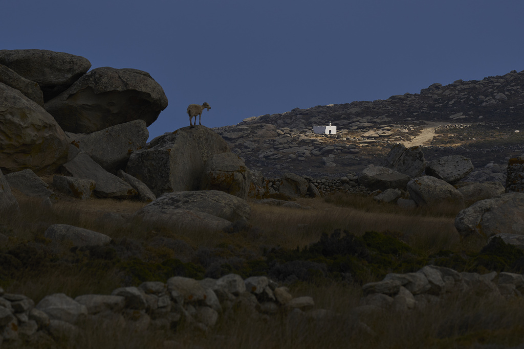 A goat stands on a rock as the sun shines on a family chapel on the island of Tinos, Greece, Thursday, Sept. 4, 2025. (AP Photo/Petros Giannakouris)