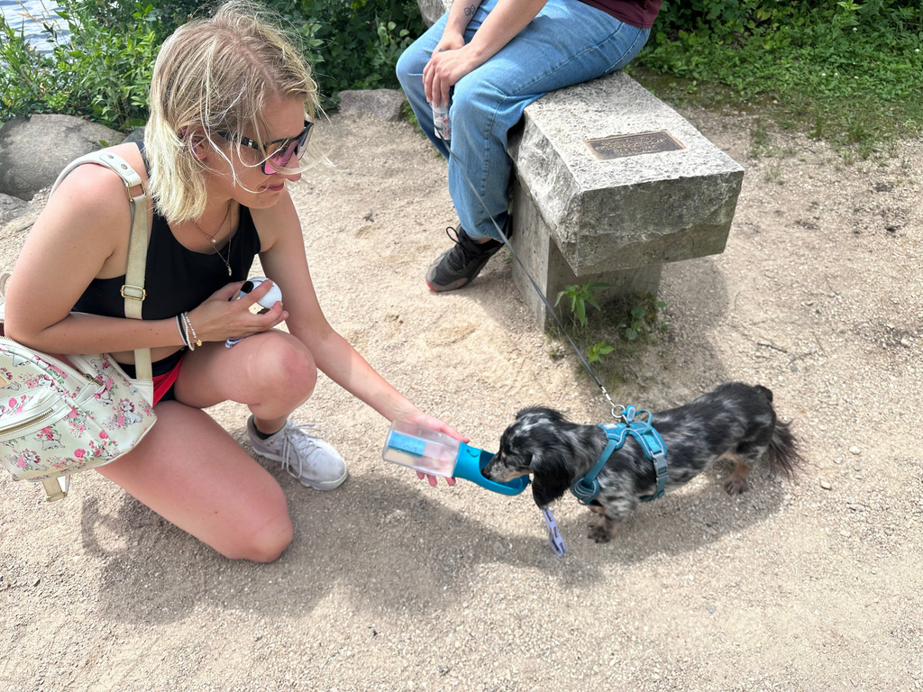 Toni Kreutzer gives her 13-year-old dog Chester a drink of water during a break in a walk as temperatures approach 90 degrees on Monday, June 29, 2026, in Madison, Wis. (AP Photo/Scott Bauer)