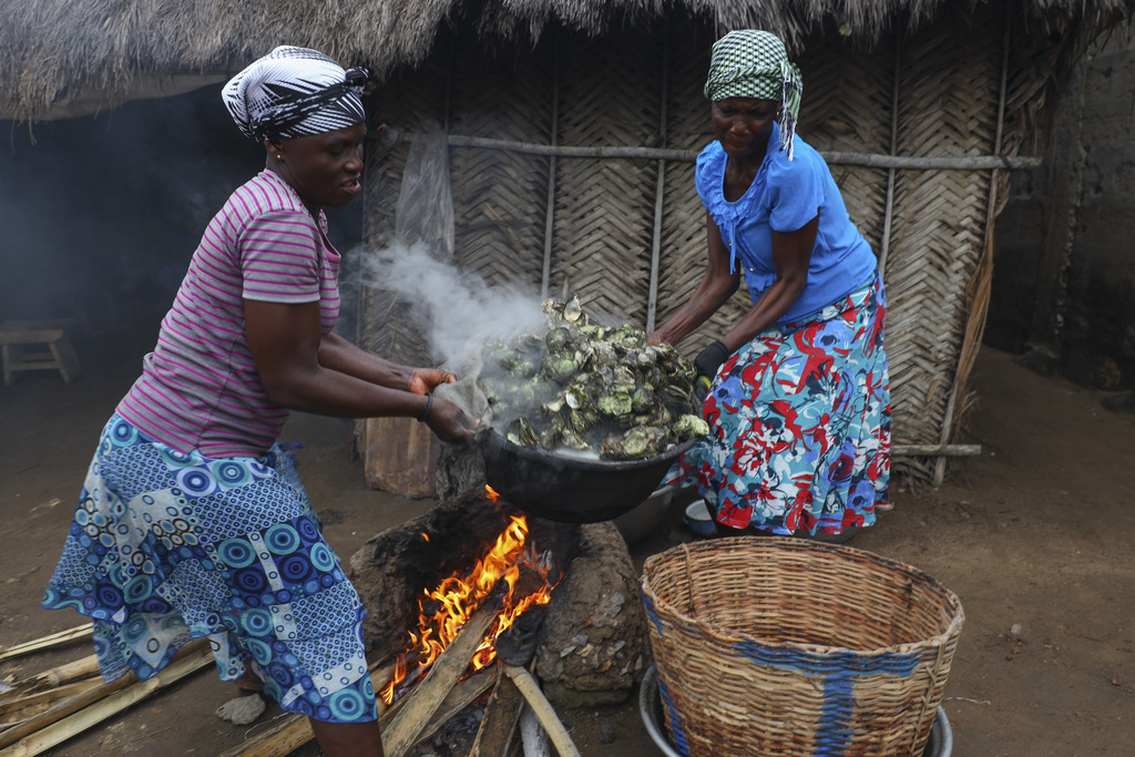 Women cook freshly harvested oysters at Tsokomey, Ghana, Aug. 6, 2025. (AP Photo/Misper Apawu)