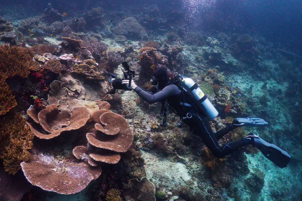 Marine biologist Pol Ramos records footage of corals at the Kerno Channel dive site in Raja Ampat, Indonesia, Thursday, March 5, 2026. (AP Photo/Claudia Rosel)
