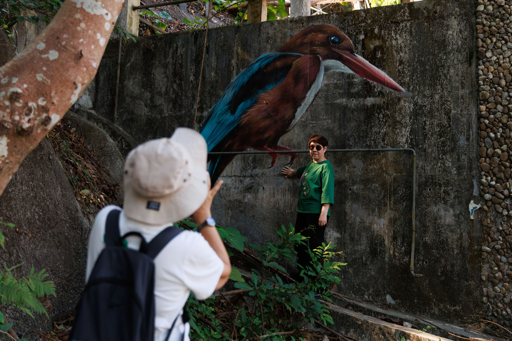 A visitor photographs her friend posing with a mural of a white-throated kingfisher painted on an abandoned house near Wang Tong village, Lantau, Hong Kong, Nov. 16, 2025. (AP Photo/May James)