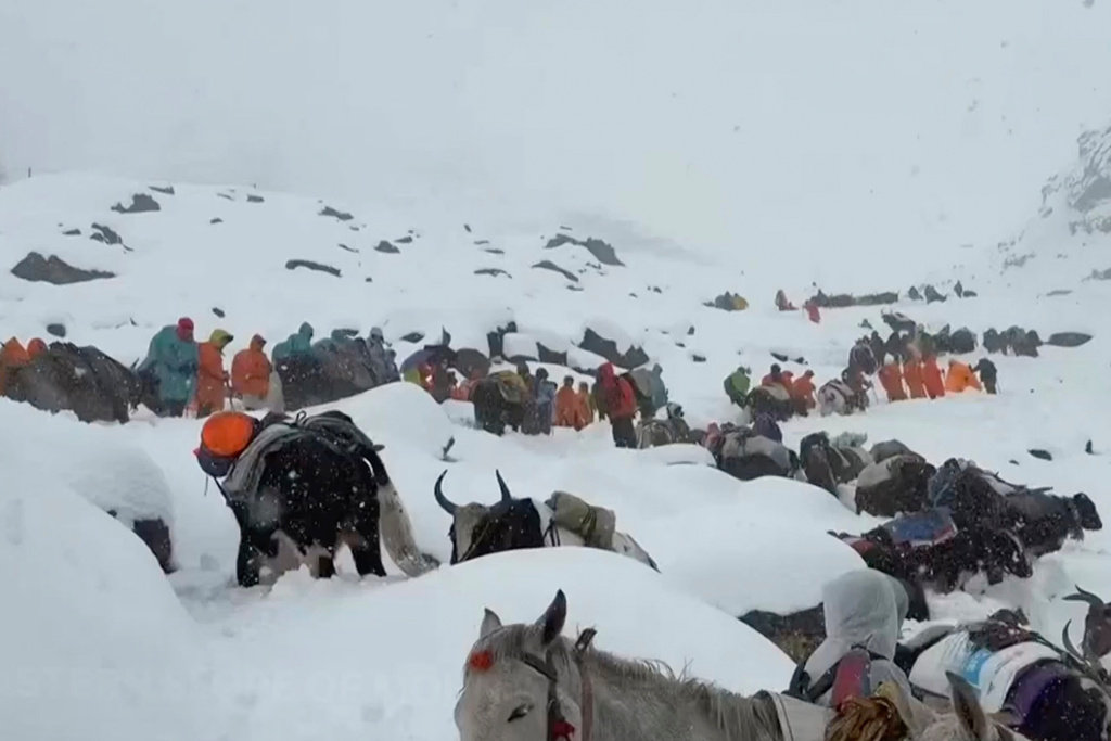 In this photo taken Oct. 4, 2025 and released by Lingsuiye, villagers with their oxen and horses ascend the mountain during rescue efforts to reach hundreds of hikers trapped by heavy snow at tourist campsites on a slope of Mount Everest in Tibet on Sunday, Oct. 5, 2025. (Lingsuiye via AP)