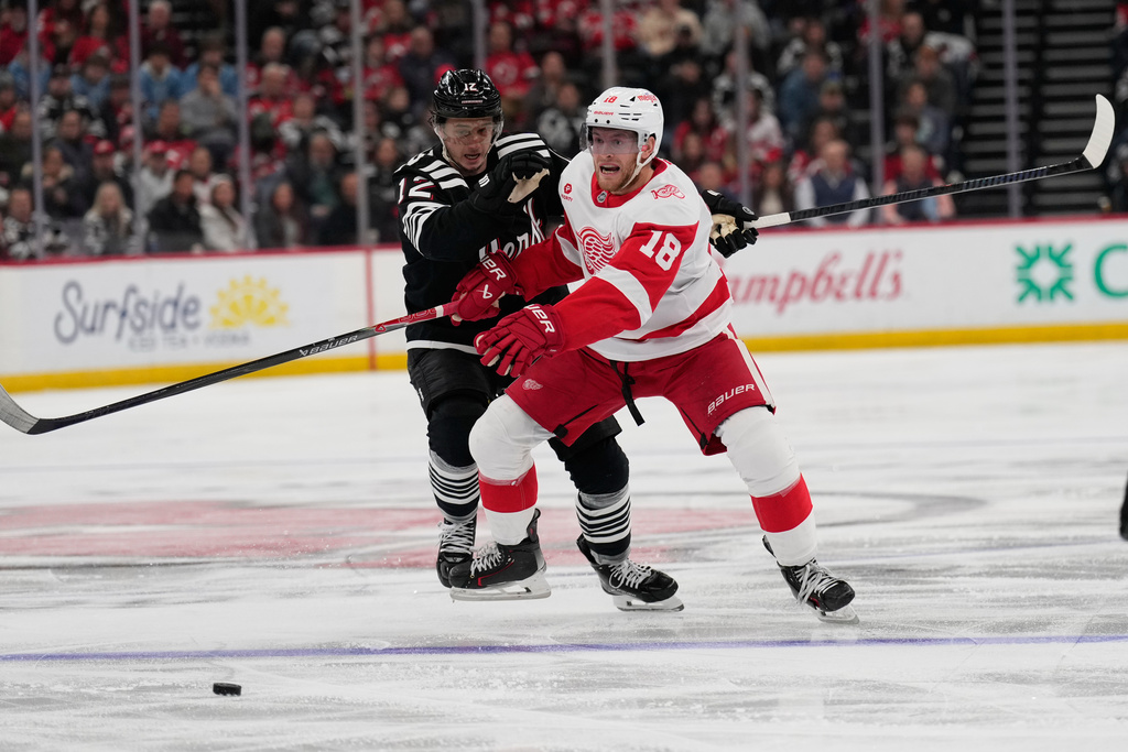 New Jersey Devils' Cody Glass, left, and Detroit Red Wings' Andrew Copp compete for the puck during the third period of an NHL hockey game in Newark, N.J., Monday, Nov. 24, 2025. (AP Photo/Seth Wenig)