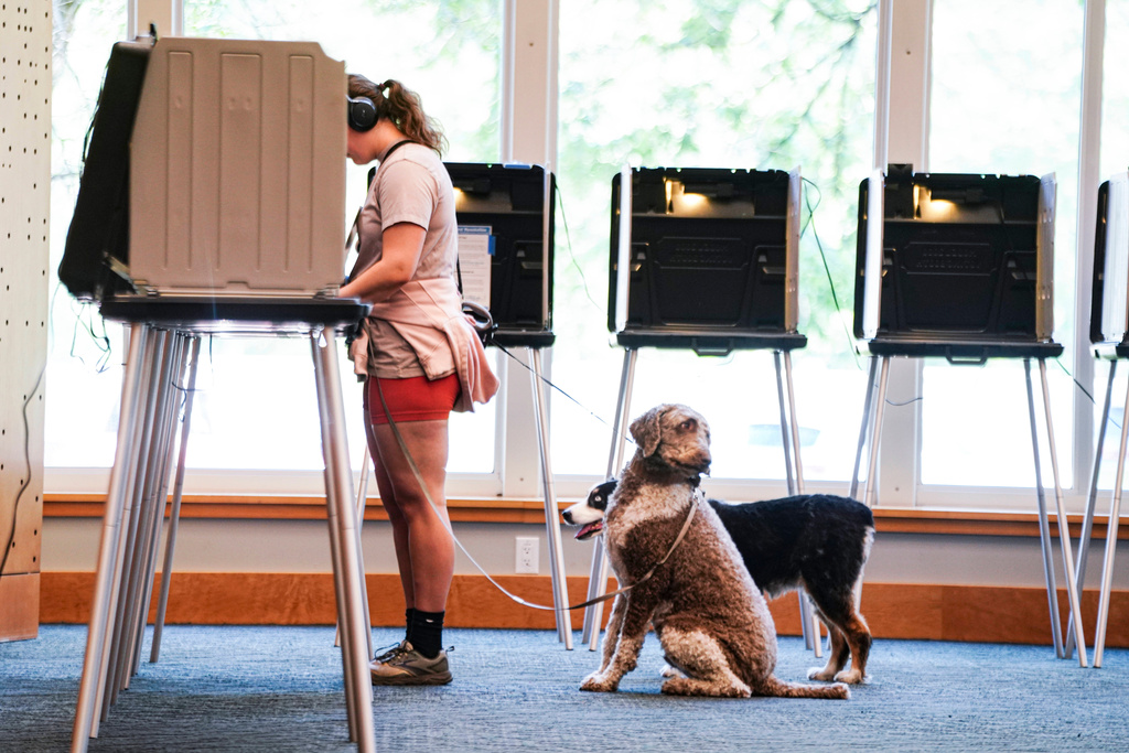 Danielle Grisolano brings her dogs Lincoln and Pepper with her to vote in the Democratic primaries at Denver Public Library, Tuesday, June 30, 2026, in Denver. (AP Photo/Rebecca Slezak)