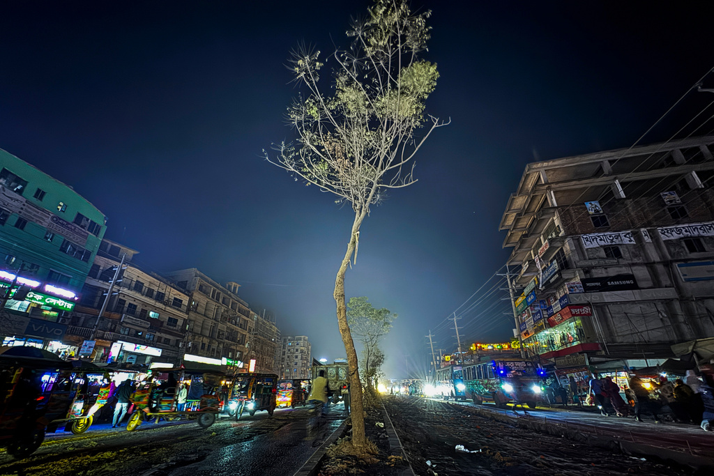 A tree stands on a road divider where the body of 27-year-old Hindu garment worker Dipu Chandra Das was hung and set on fire by a mob on Dec. 18, 2025, in Gazipur near Dhaka, Bangladesh, Jan. 9, 2026. (AP Photo/Mahmud Hossain Opu)