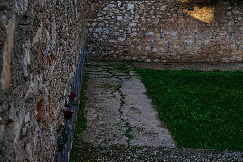 Two red roses are placed on the execution wall at the Kaisariani Shooting Range in the Kaisariani suburb of Athens, Monday, Feb. 16, 2026, where 200 Greek communist political prisoners were executed by Nazi forces on May 1, 1944. (AP Photo/Petros Giannakouris)