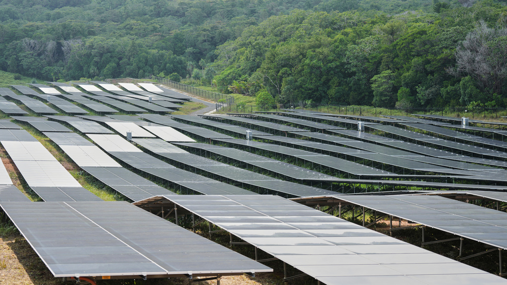 A solar farm on the island of Babeldoab in Koror, Palau, Thursday, Sept. 3, 2026. (AP Photo/Charlotte Graham-McLay)