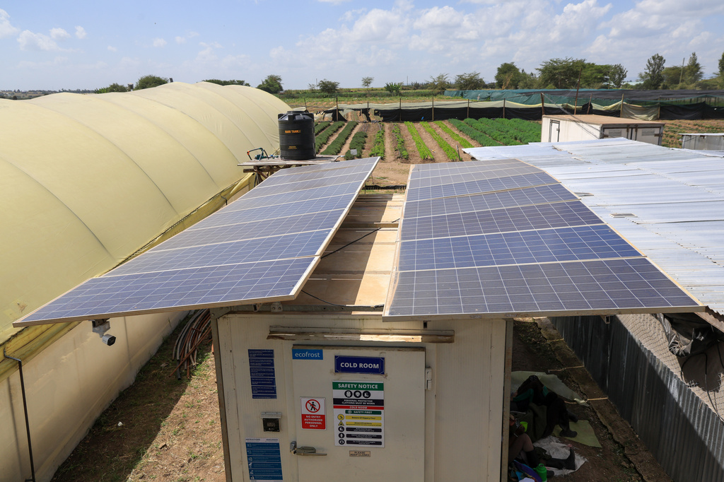 View of Solar powered cold storage units at Citadel Agri Merchants in Kitengela, Kajiado County, Kenya, on May 22, 2026. (AP Photo/Andrew Kasuku)