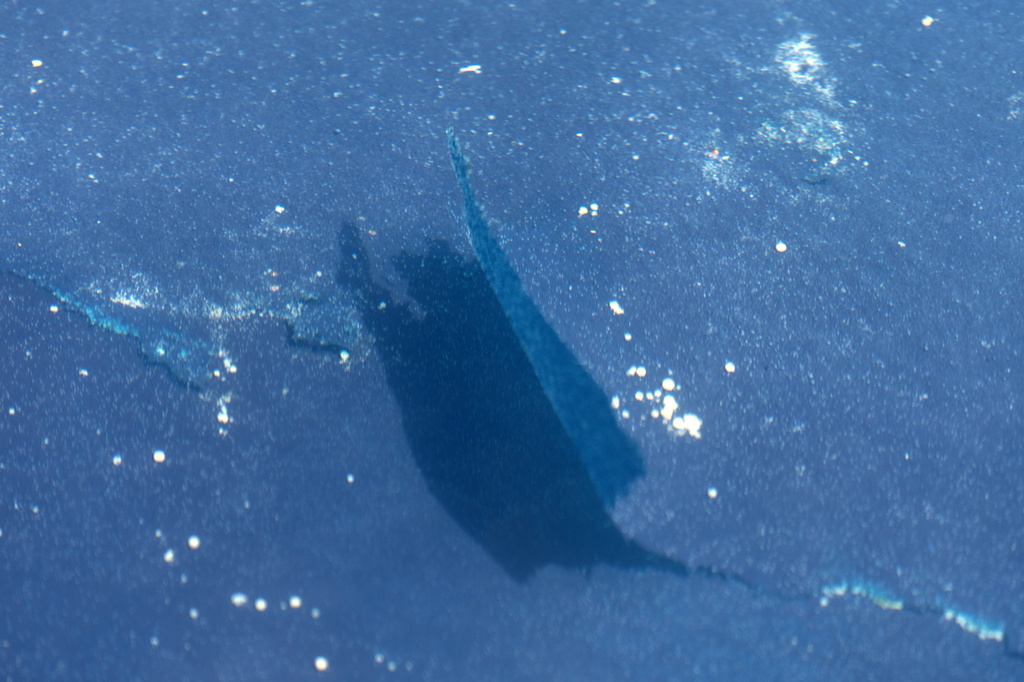 Separation is seen in the blue coating on the bottom of the Lincoln Memorial Reflecting Pool, Monday, June 22, 2026, in Washington. (AP Photo/Mark Schiefelbein)