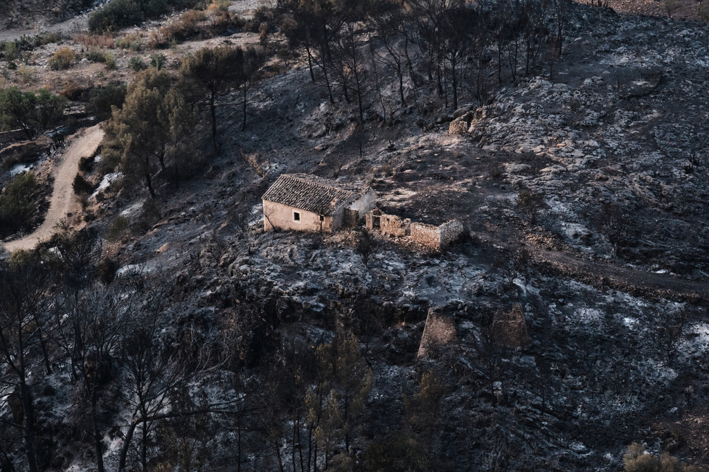 A view of a burnt area affected by wildfires in Bedar, near Almeria, Spain, Saturday, July 11, 2026. (AP Photo/Gregorio Marrero)
