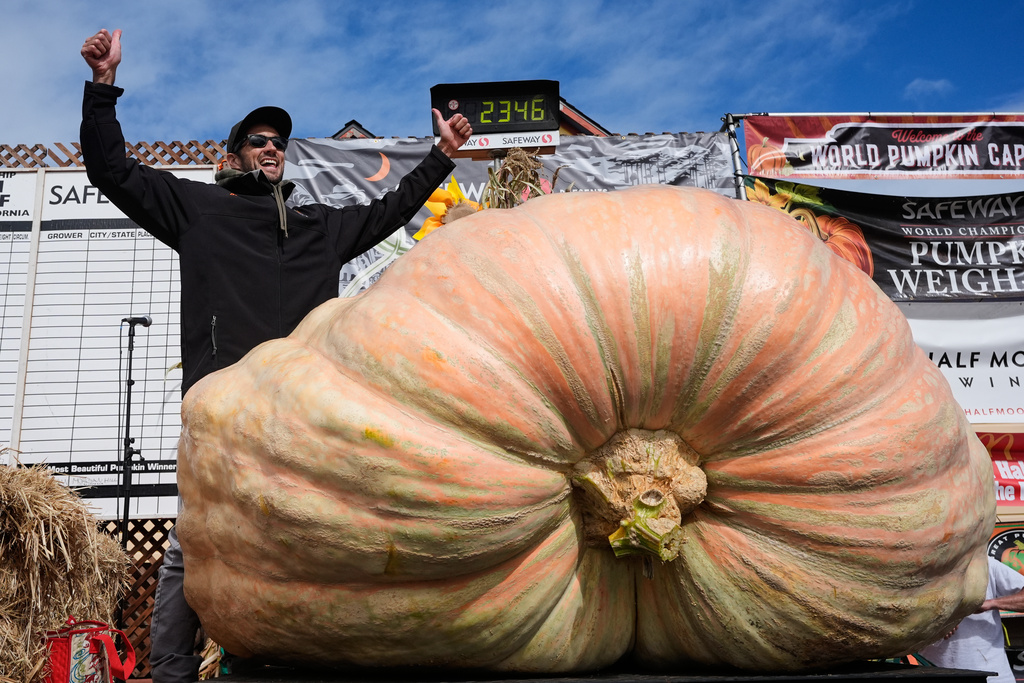 Brandon Dawson, left, celebrates after winning the Safeway 52nd annual World Championship Pumpkin Weigh-Off in Half Moon Bay, Calif., Monday, Oct. 13, 2025. (AP Photo/Godofredo A. Vásquez)