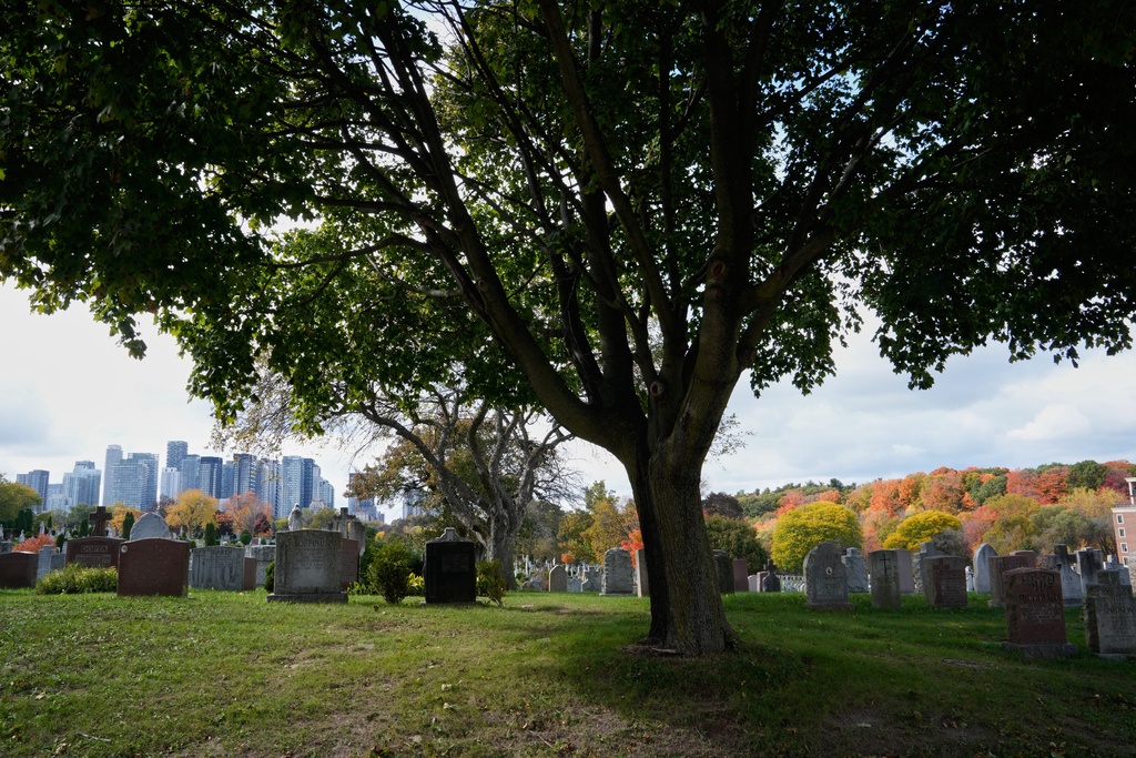 Colorful trees are visible at Mount Pleasant Cemetery in Toronto, Wednesday, Oct. 22, 2025. (AP Photo/Kamran Jebreili)