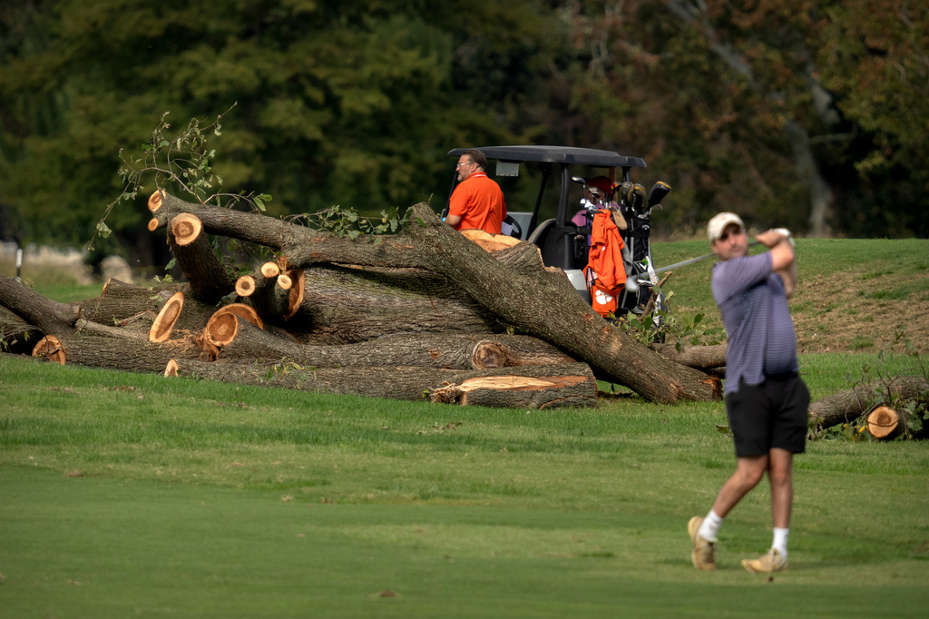 Golfers hit from the fairway near log sections cut from trees at the East Potomac Golf Links, Monday, Oct. 12, 2026, in Washington. (AP Photo/Mark Schiefelbein)
