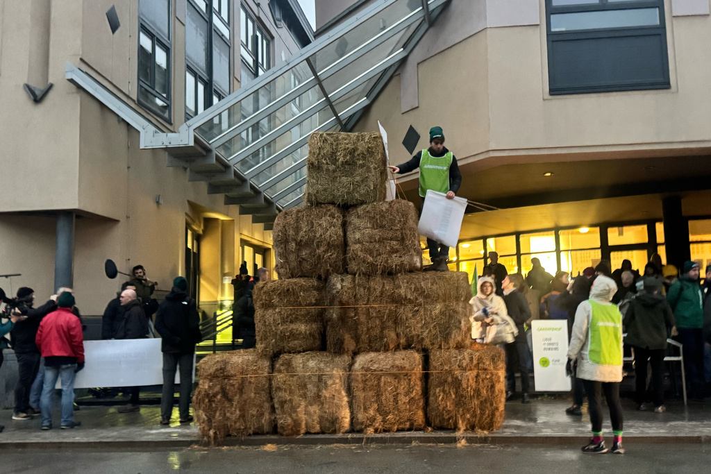 Haystacks pile up outside a court house as French oil giant TotalEnergies is on trial, accused by Belgian farmer Hugues Falys and three environmental groups of bearing responsibility for climate change, Wednesday, Nov. 19, 2025 in Tournai, Belgium. (AP Photo/Sylvain Plazy)