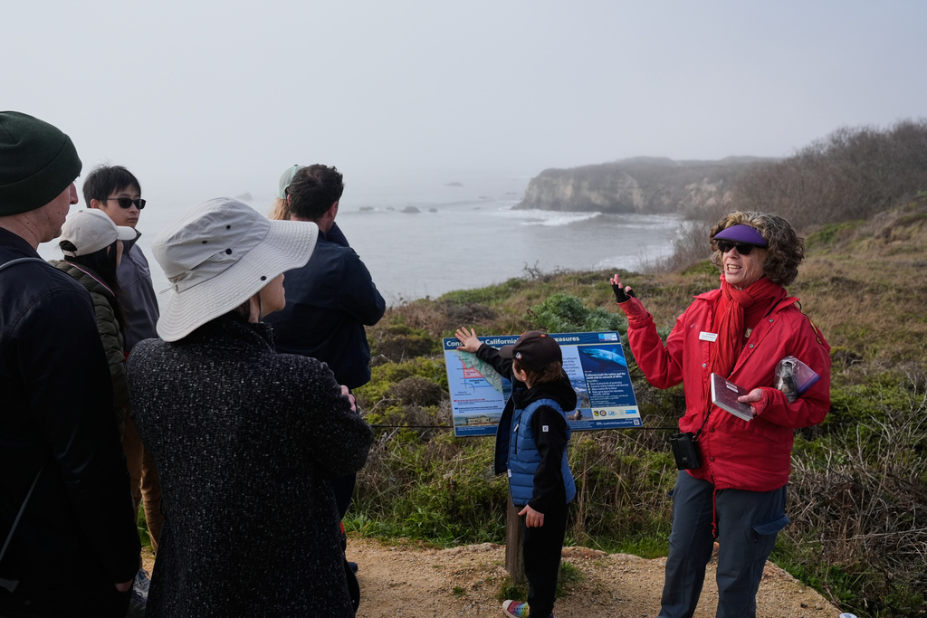 Laura Stern, right, talks about elephant seals during a tour of Año Nuevo State Park, Friday, Jan. 16, 2026, in Pescadero, Calif. (AP Photo/Godofredo A. Vásquez)
