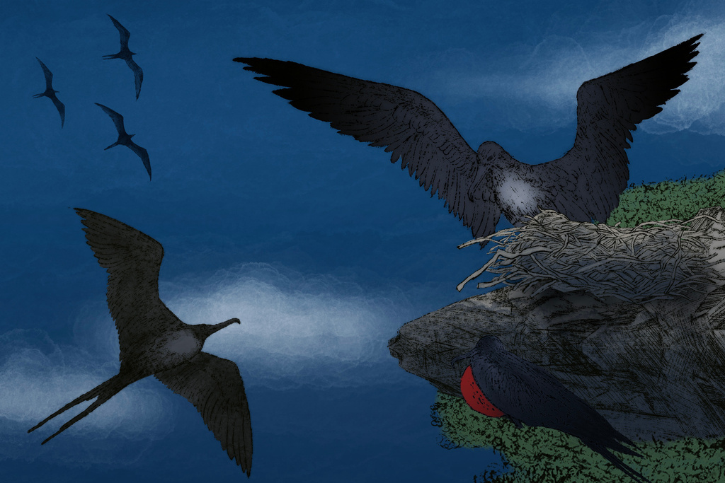 (AP Illustration / Peter Hamlin)