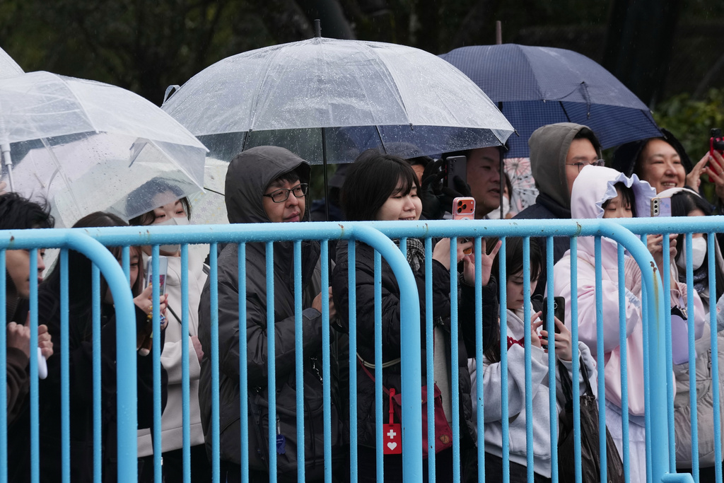 Visitors stand close to the fence to see Punch, a Japanese macaque born on July 26, 2025 in the monkeys' playground at the Ichikawa city zoo in Tokyo's eastward neighboring city, Tuesday, March 3, 2026. (AP Photo/Hiro Komae)
