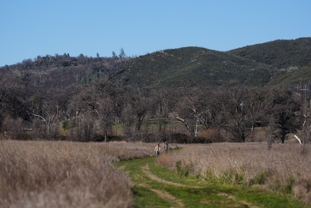 Lise Peterson, left, and Dan Antonaccio walk down a path while taking part in a California Lichen Society field trip at the University of California, Davis' McLaughlin Reserve in Lower Lake, Calif., Saturday, Jan. 24, 2026. (AP Photo/Jeff Chiu)