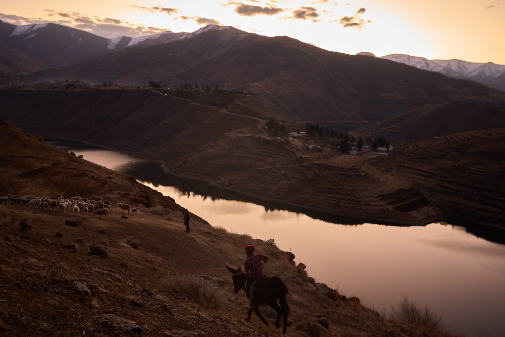 Shepherds return home at the end of the day with their flock in the mountains of Ha Lejone, Lesotho, July 14, 2025. (AP Photo/Bram Janssen)